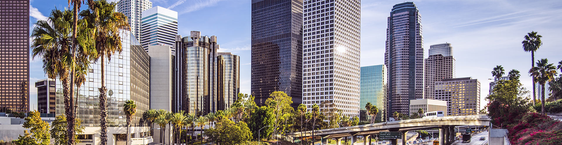 Downtown Los Angeles
